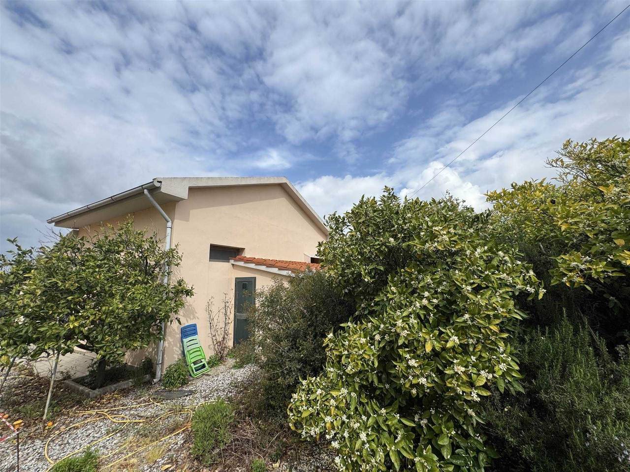 immagine annuncio 8 di 14