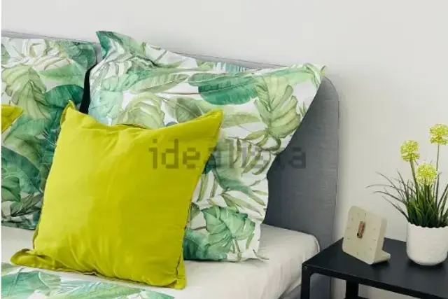 insertion image