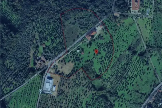 insertion image