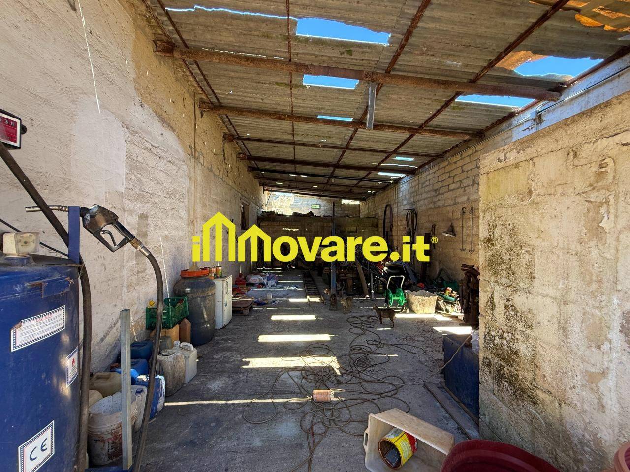 immagine annuncio 7 di 15