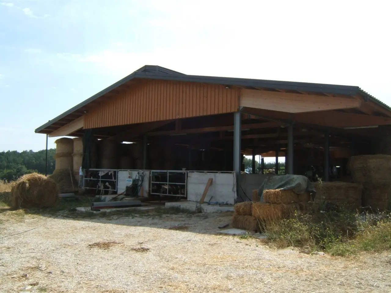 Azienda agricola in , Valfabbrica, {3} - Foto 1