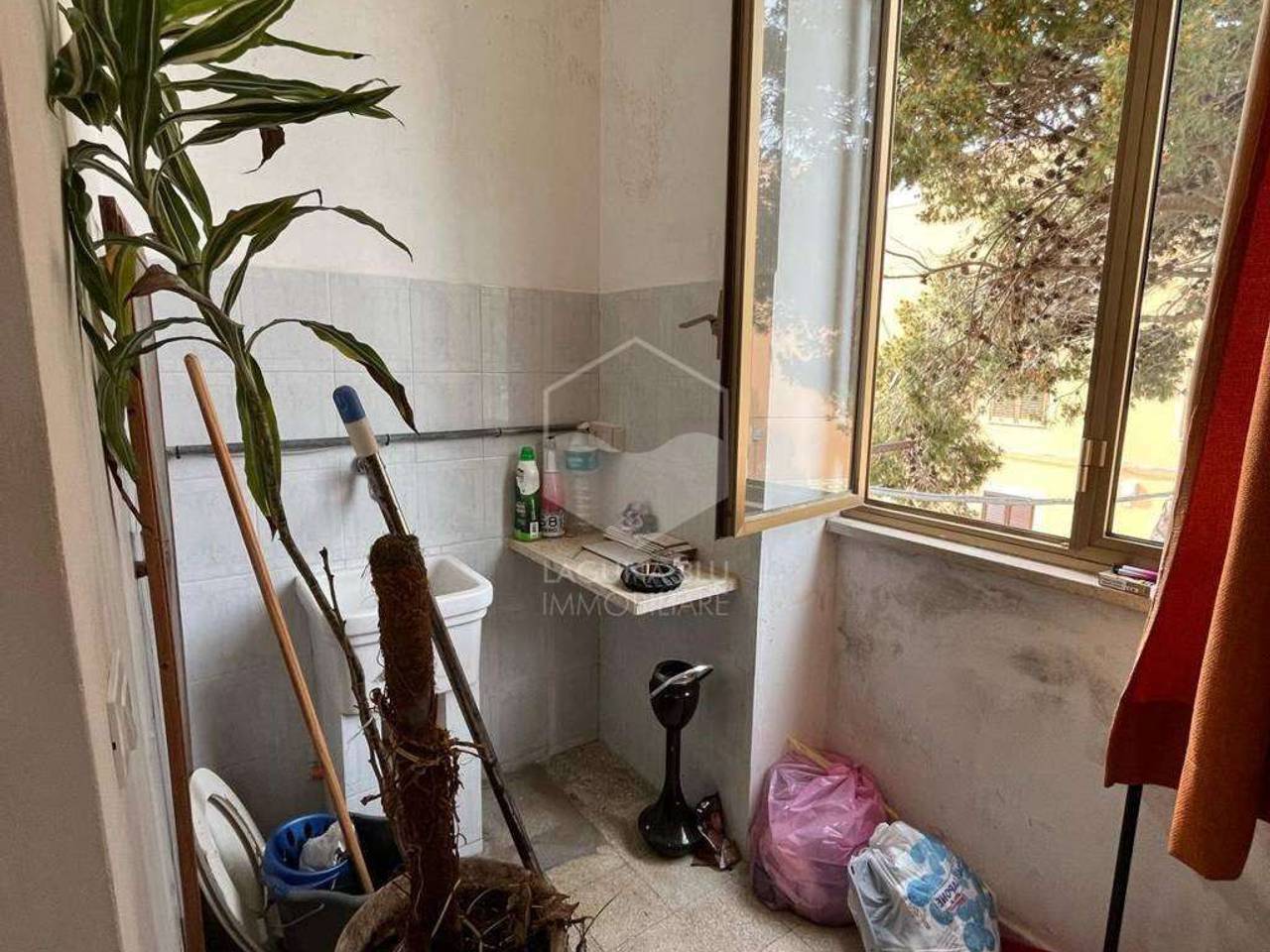 immagine annuncio 2 di 6