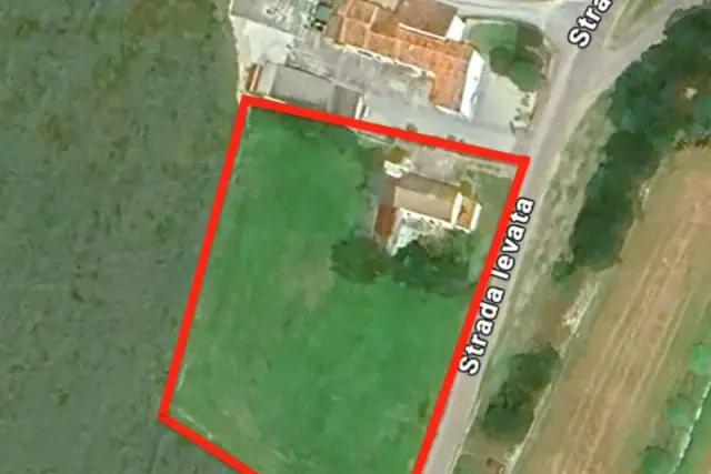 insertion image