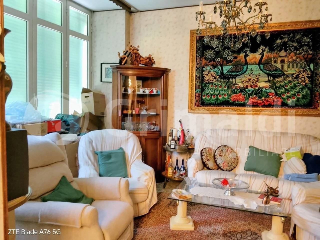 immagine annuncio 7 di 10