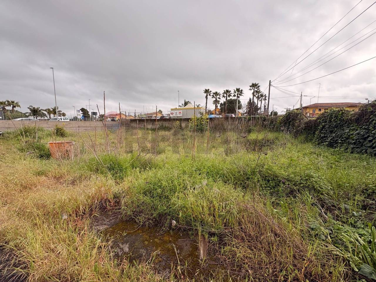 immagine annuncio 3 di 6