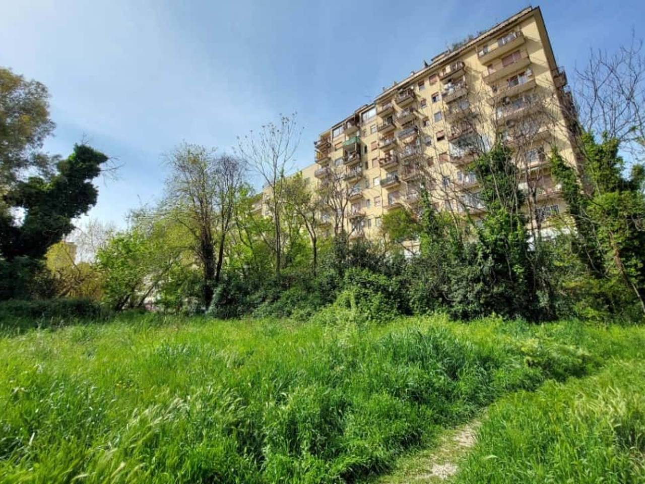 immagine annuncio 14 di 15