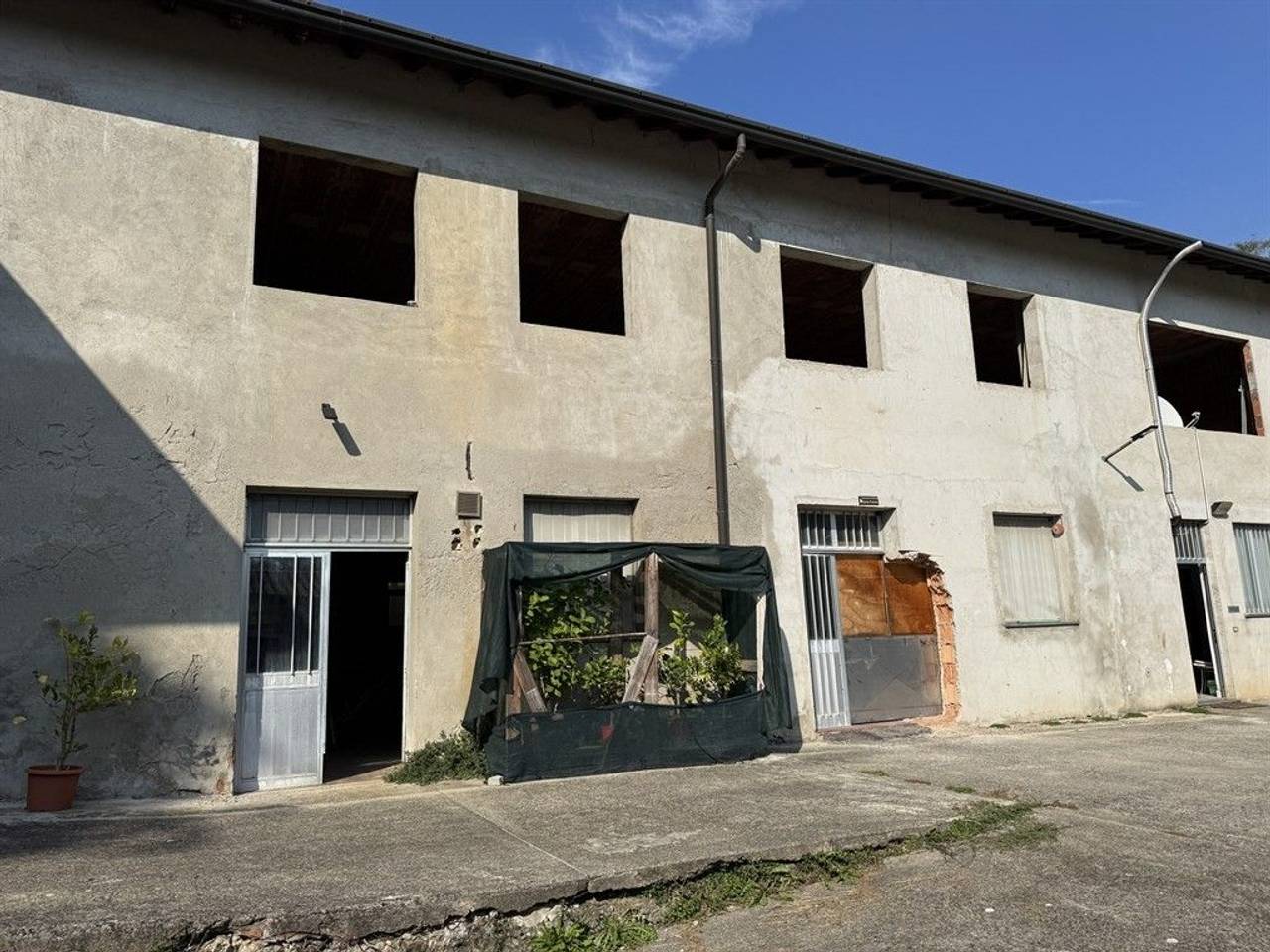 immagine annuncio 10 di 12