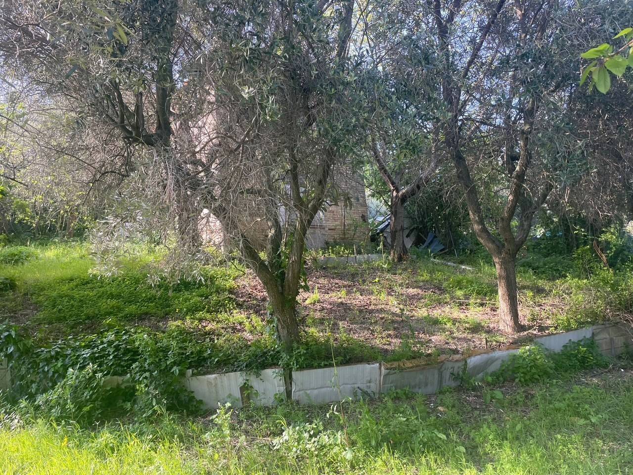 immagine annuncio 2 di 11