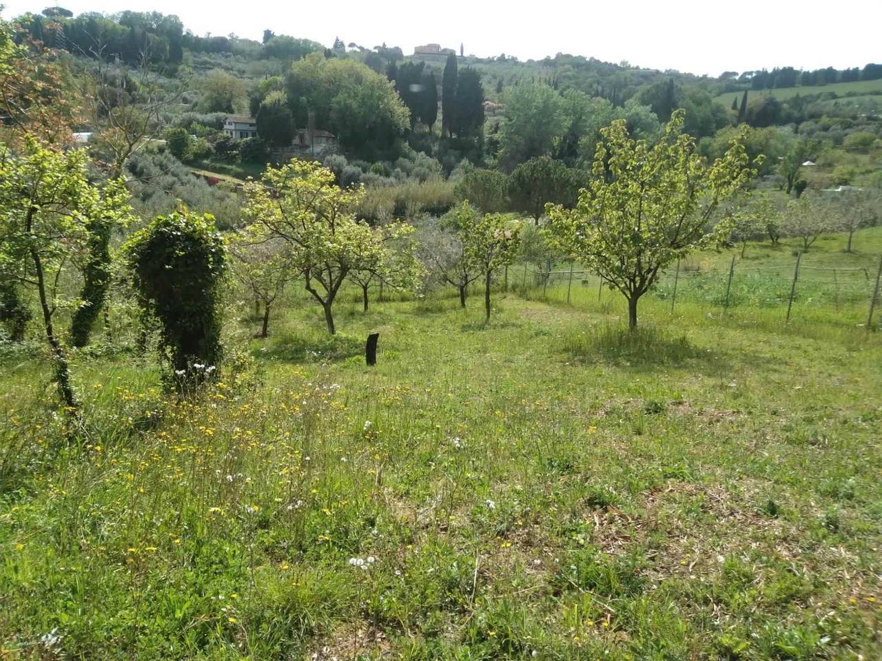 immagine annuncio 10 di 12