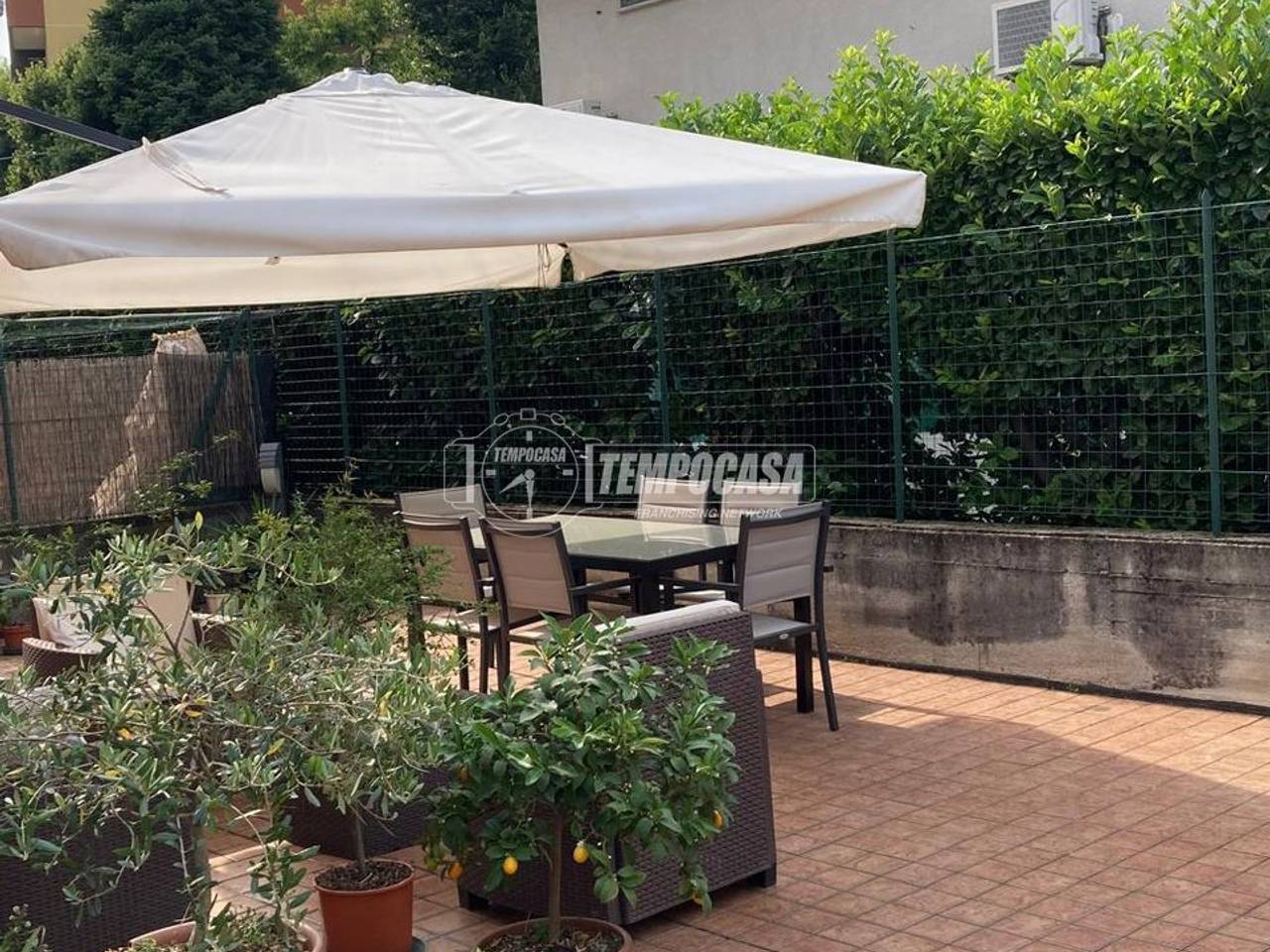 immagine annuncio 1 di 14