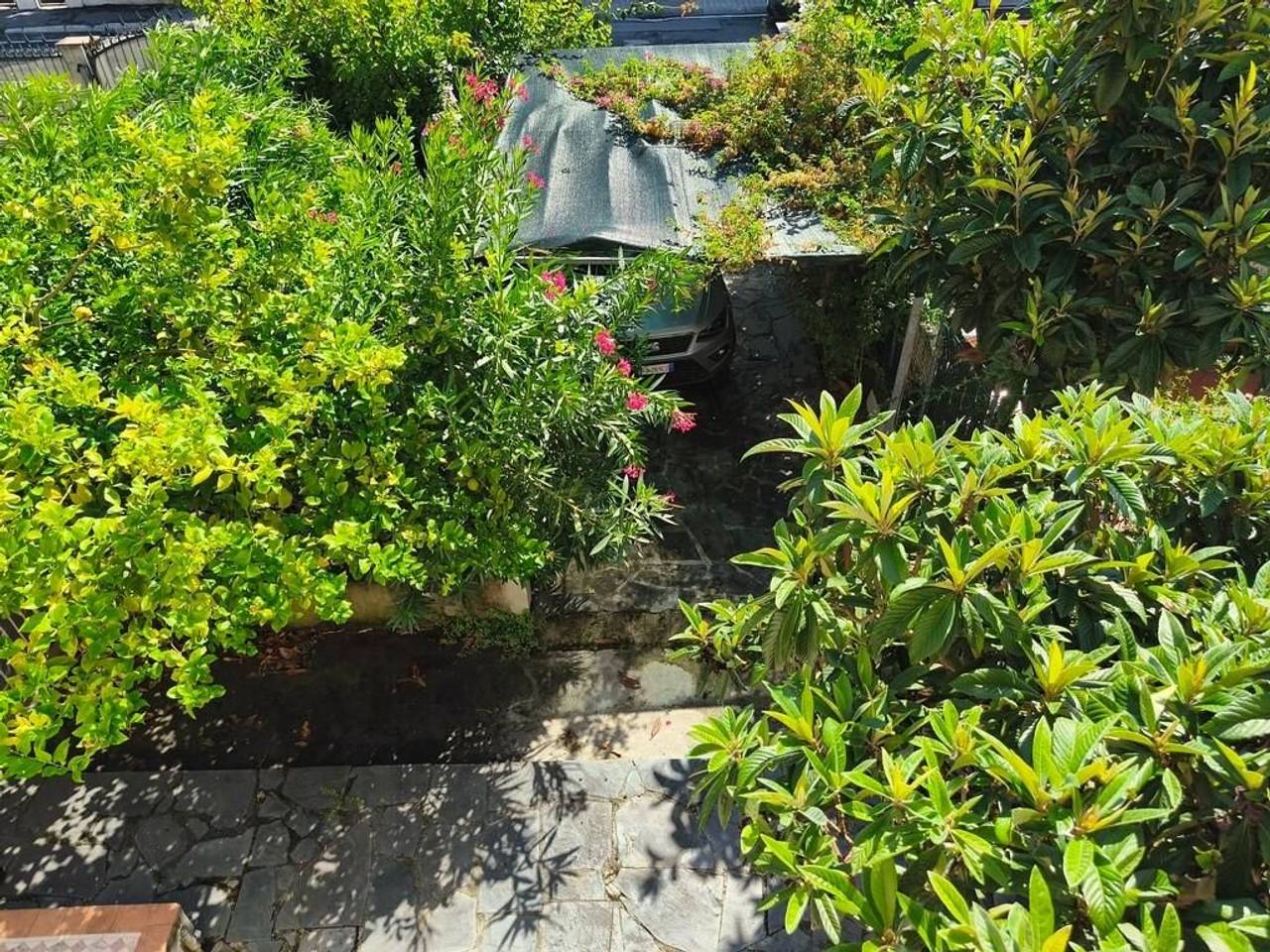 immagine annuncio 6 di 9