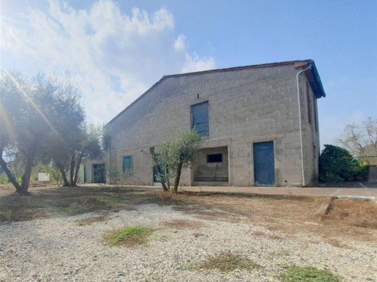 immagine annuncio 3 di 9