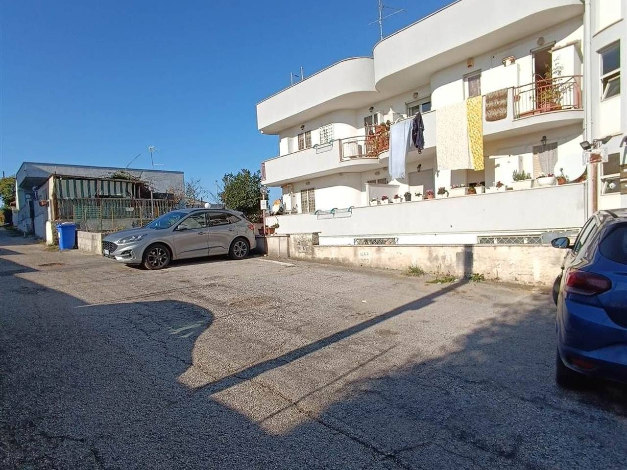 immagine annuncio 12 di 13