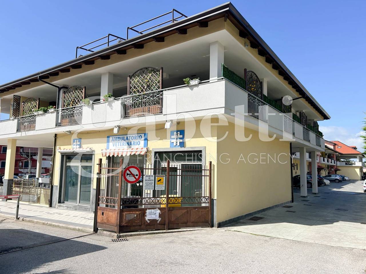 immagine annuncio 2 di 15