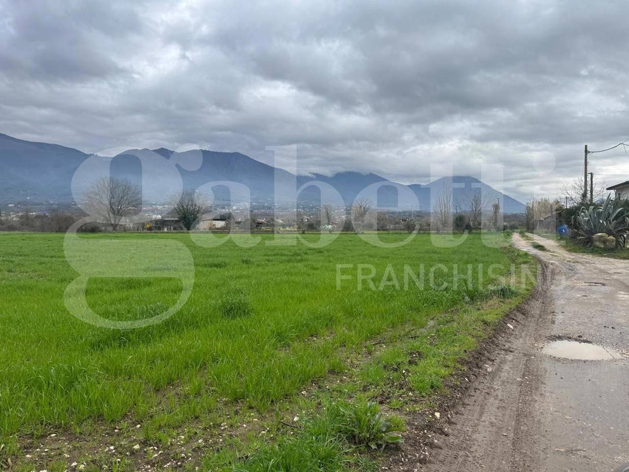 immagine annuncio 3 di 7