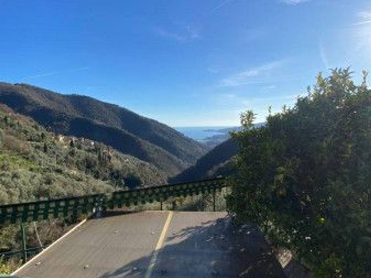 immagine annuncio 13 di 14