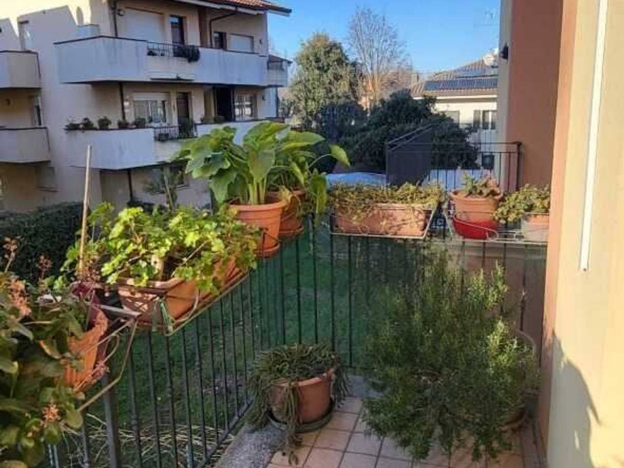 immagine annuncio 7 di 15