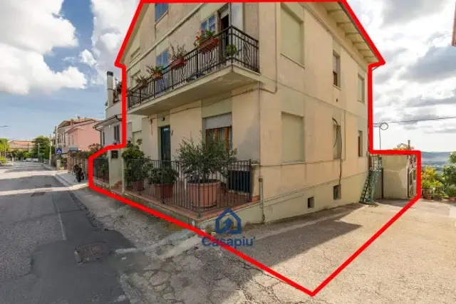 insertion image