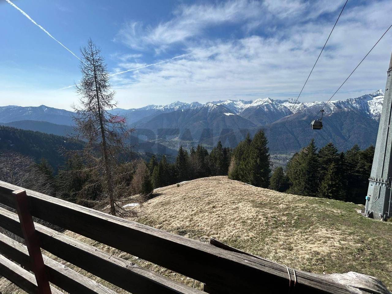 immagine annuncio 5 di 14