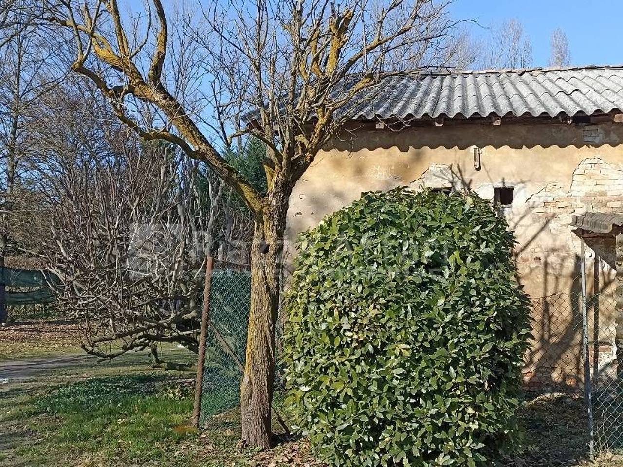 immagine annuncio 3 di 13