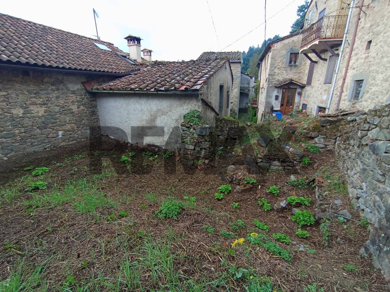 immagine annuncio 6 di 13