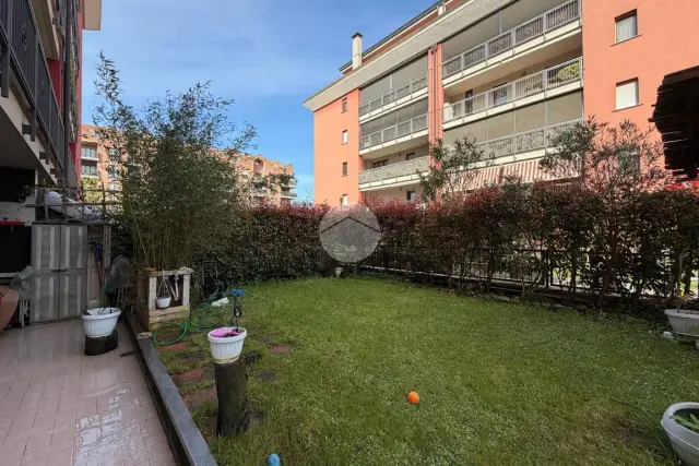 insertion image