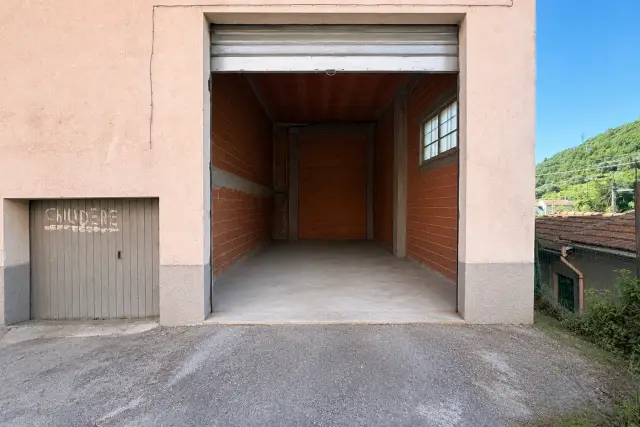 insertion image