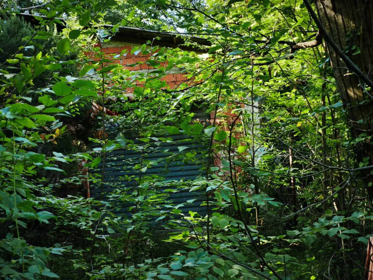 Magazzino in , Stella, {3} - Foto 1