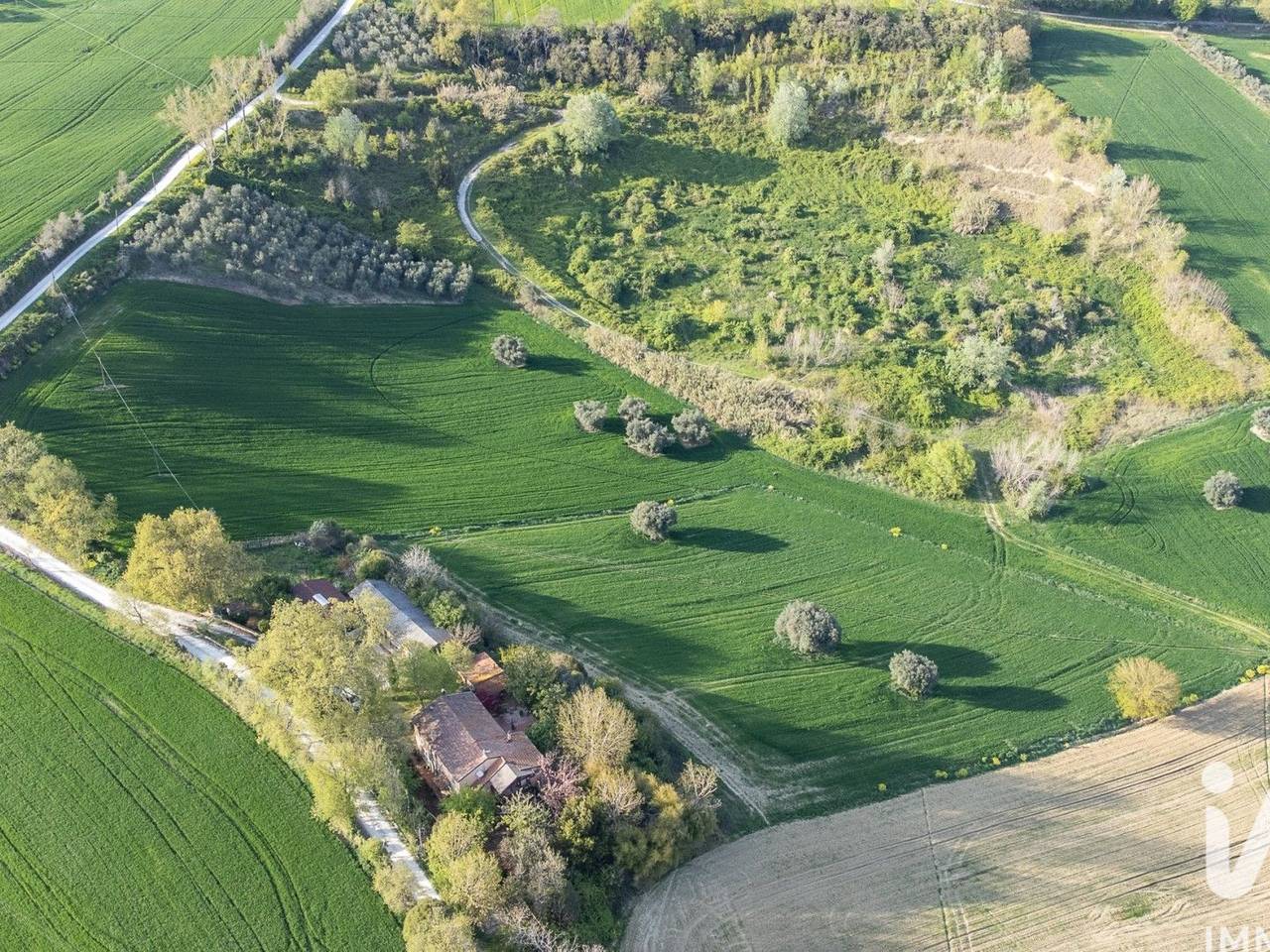 immagine annuncio 5 di 14