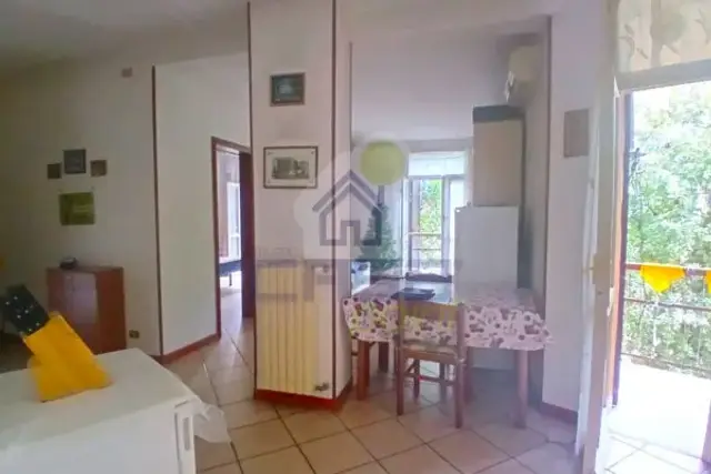 insertion image