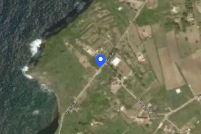 insertion image