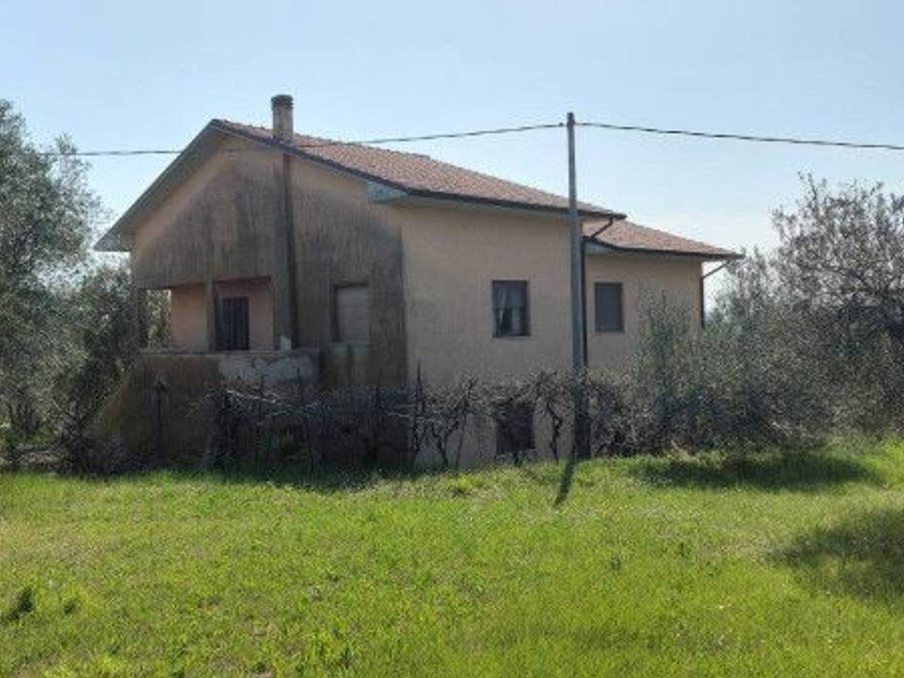 immagine annuncio 12 di 15