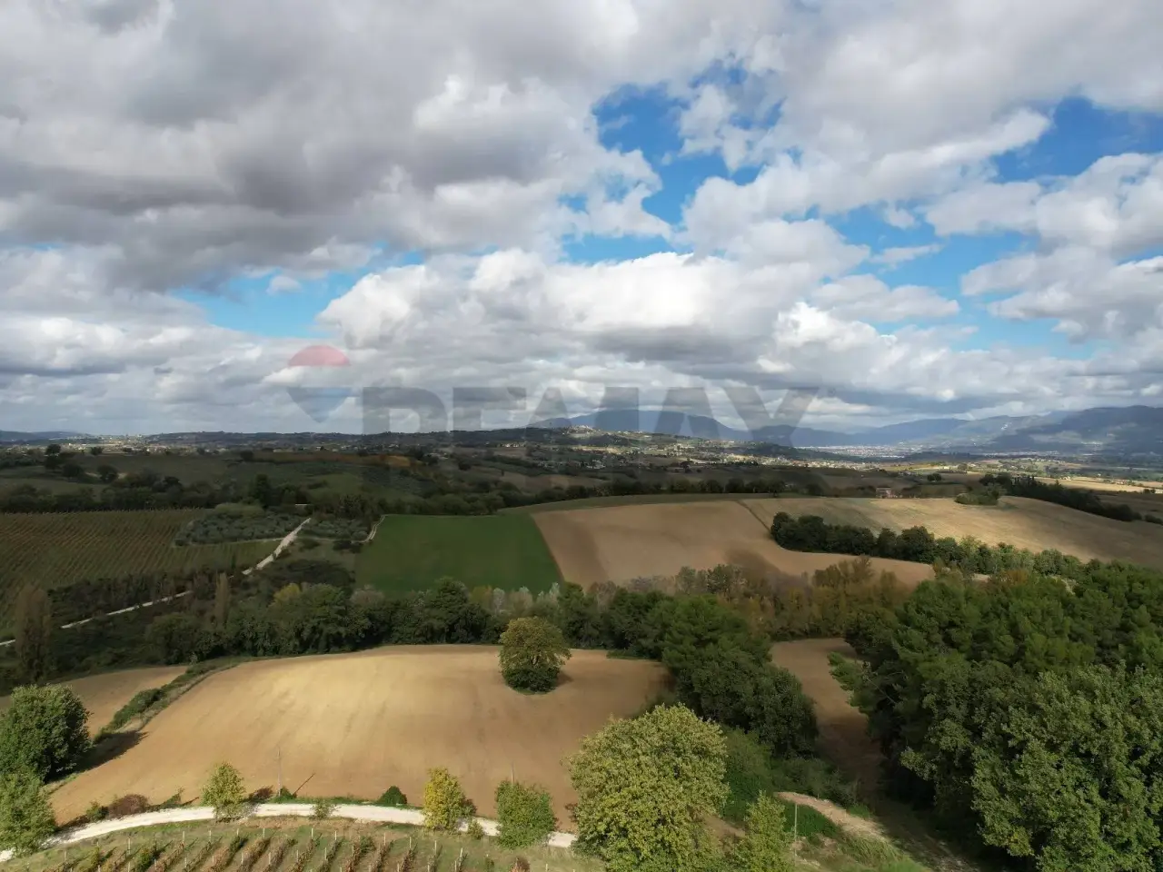 Azienda agricola in Localita\' Torre Grosso 318, Castel Ritaldi, {3} - Foto 1