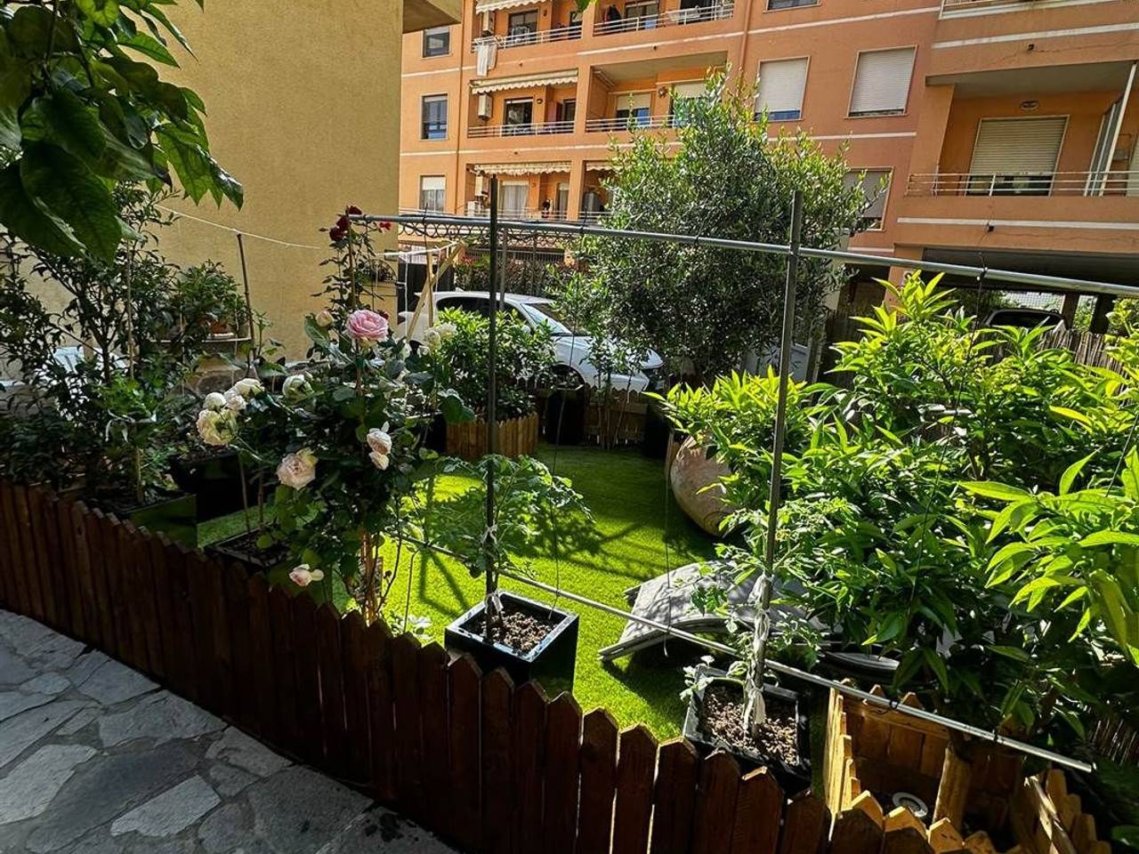 immagine annuncio 9 di 15