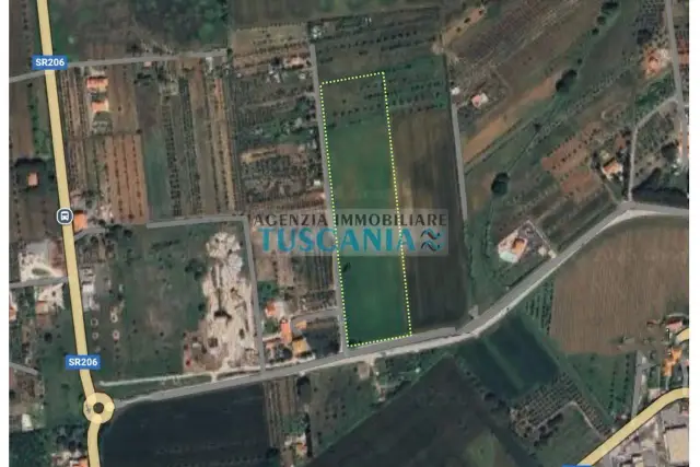 insertion image
