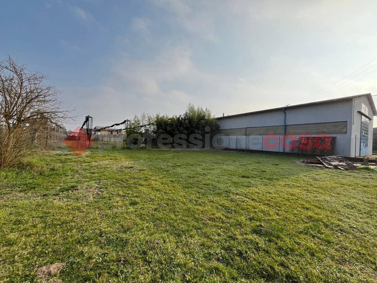 immagine annuncio 12 di 14