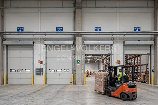 insertion image