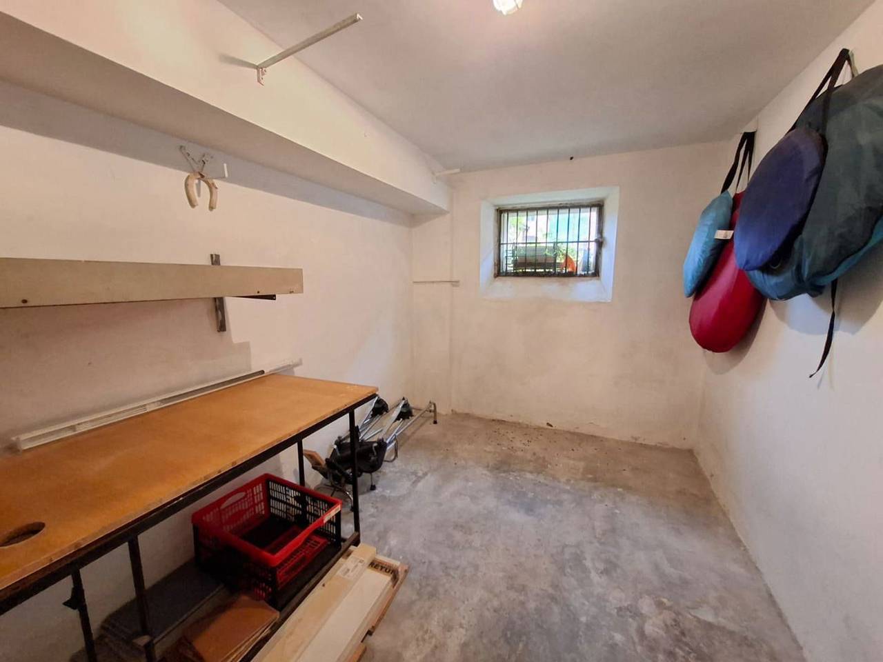 immagine annuncio 12 di 13