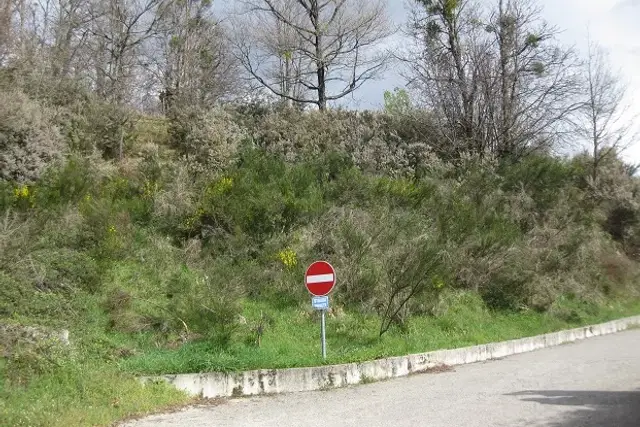 insertion image