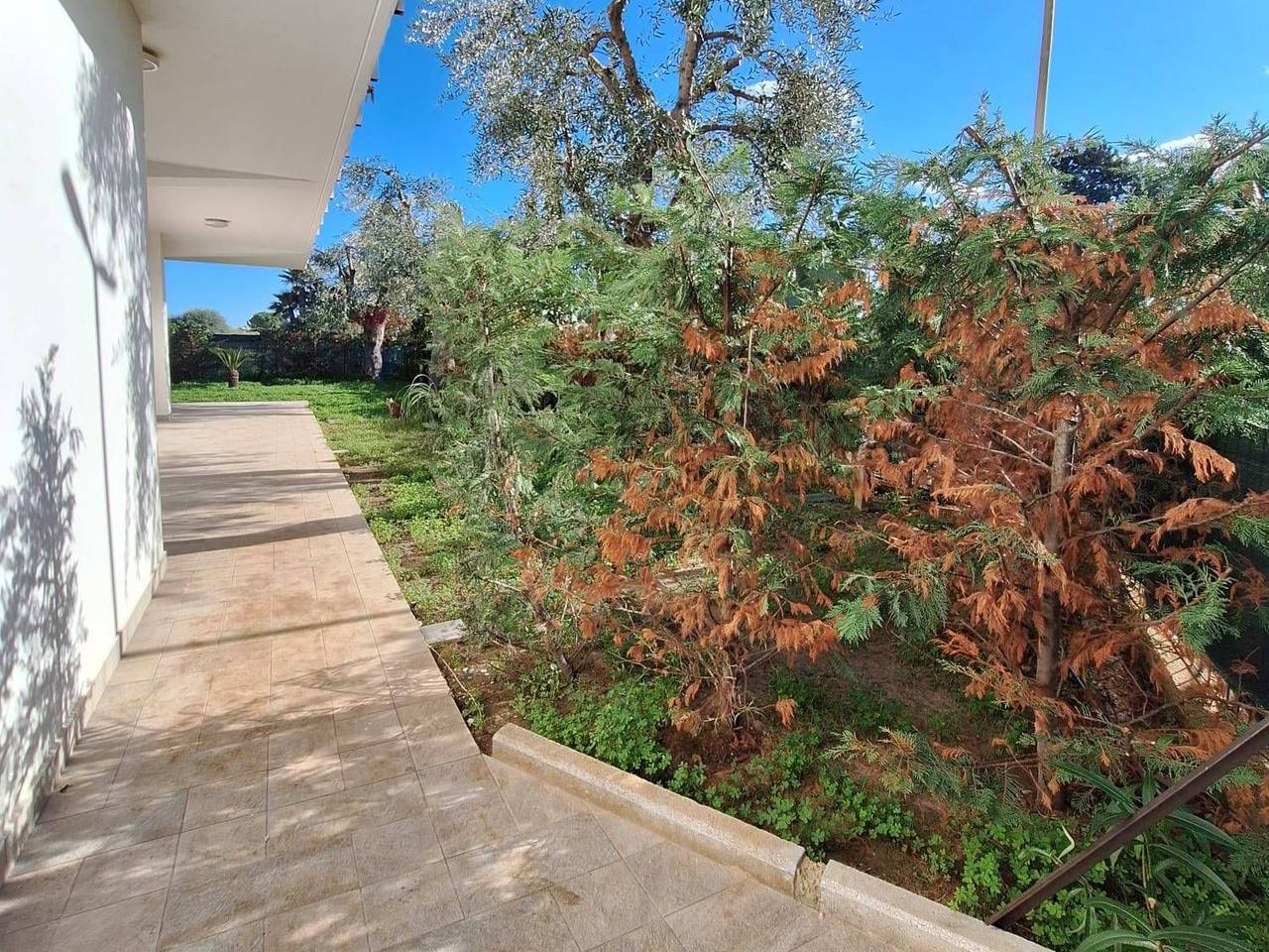 immagine annuncio 1 di 14