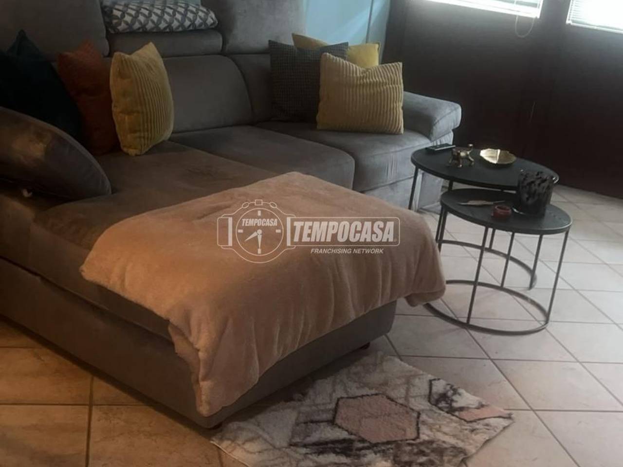 immagine annuncio 4 di 14