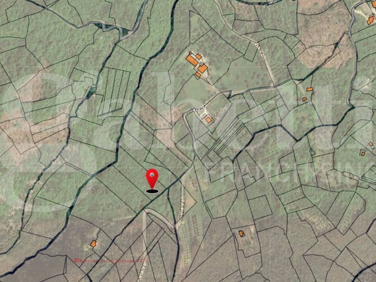 immagine annuncio 1 di 3