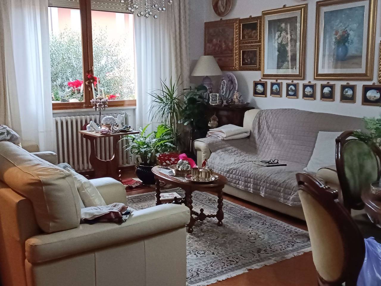 immagine annuncio 13 di 15