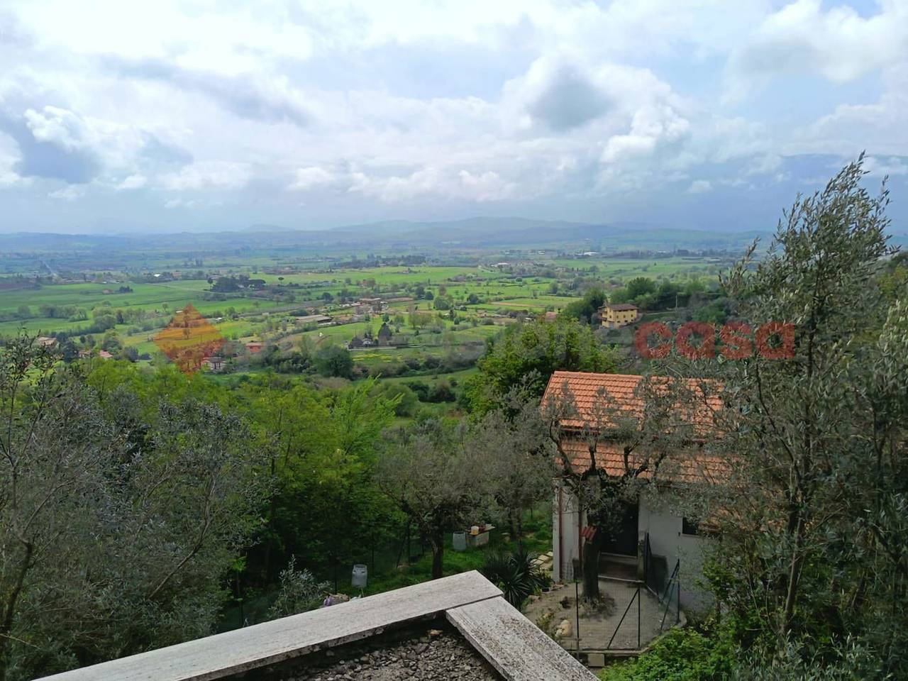 immagine annuncio 7 di 14