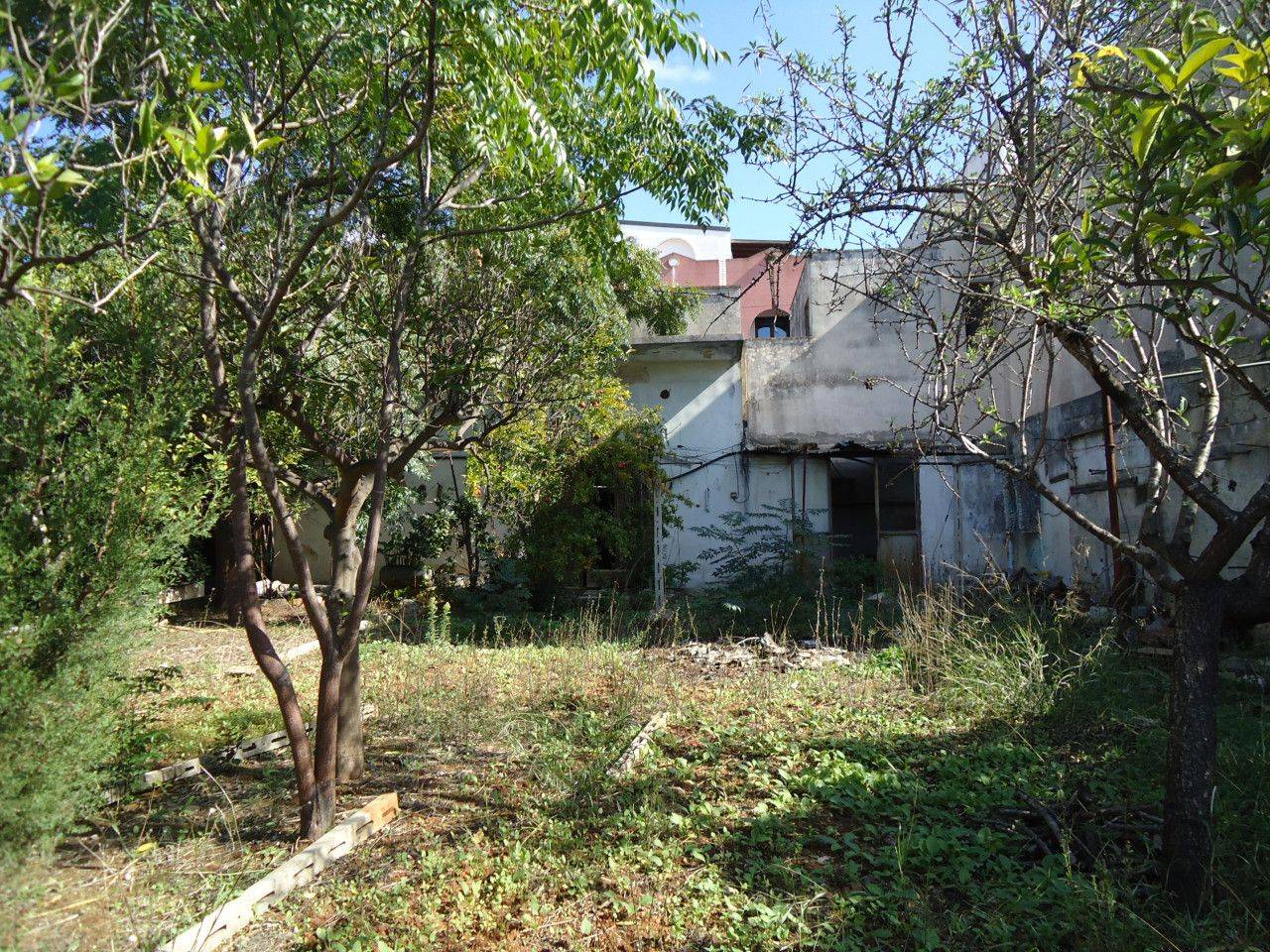 immagine annuncio 6 di 12