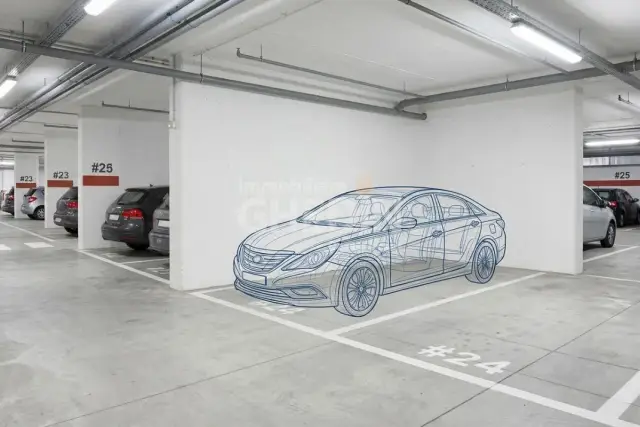 insertion image