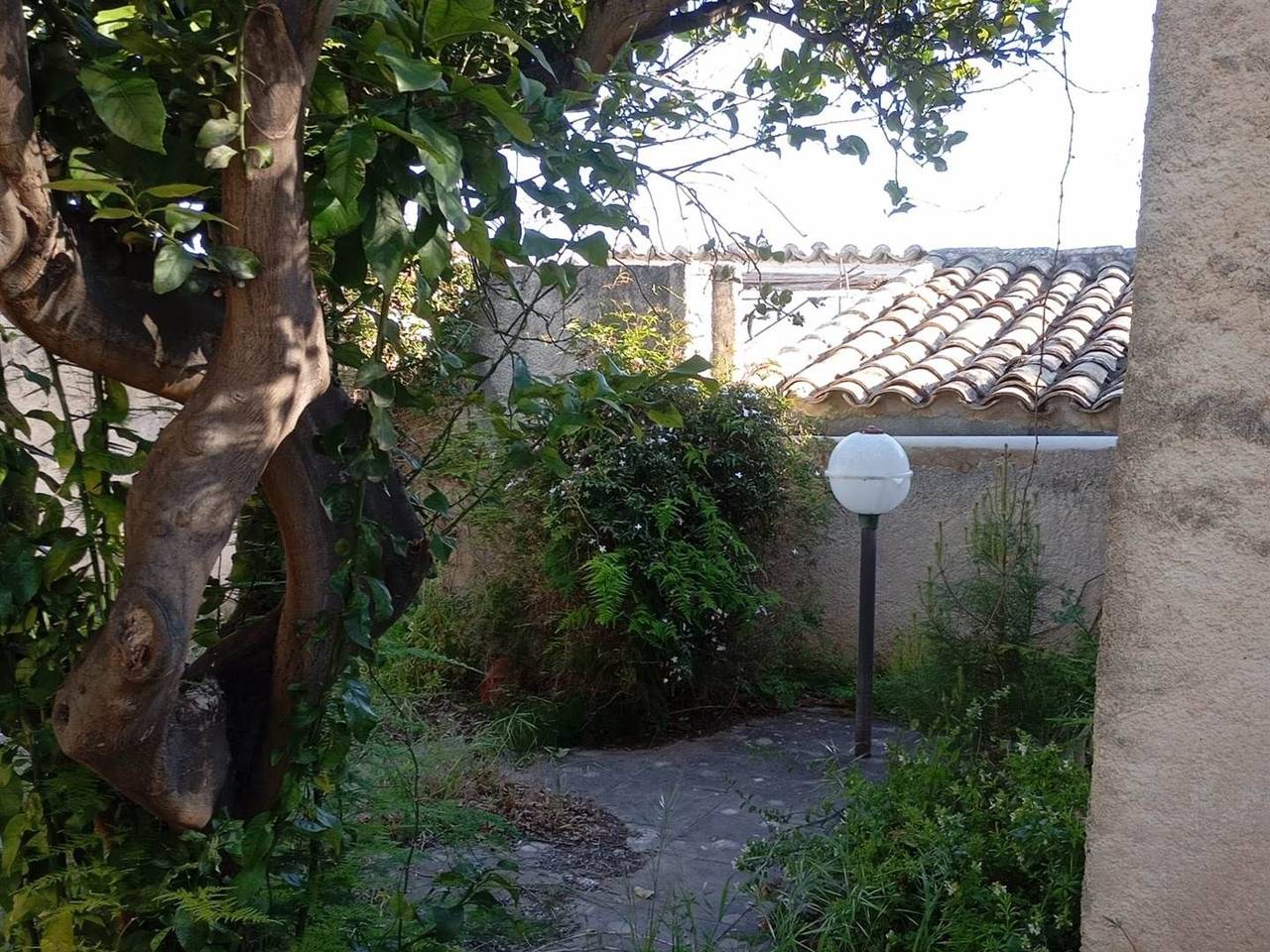 immagine annuncio 12 di 14