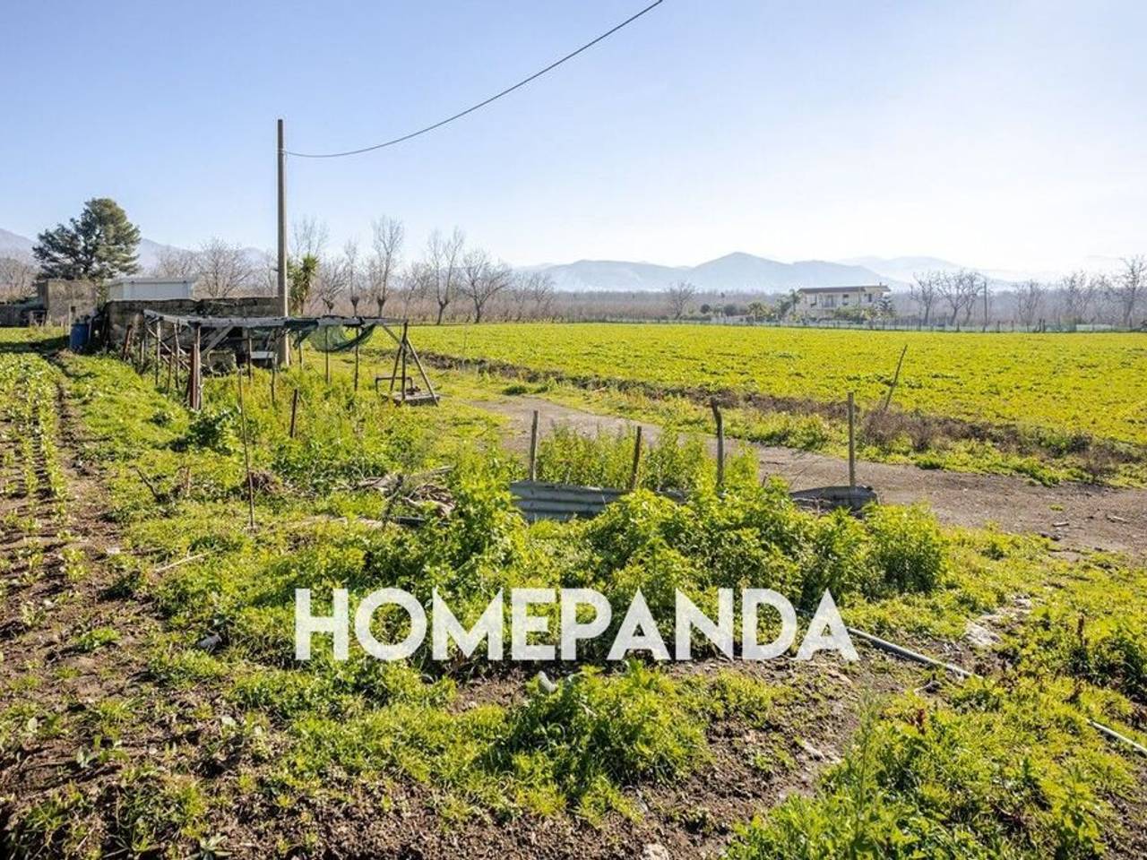 immagine annuncio 4 di 7