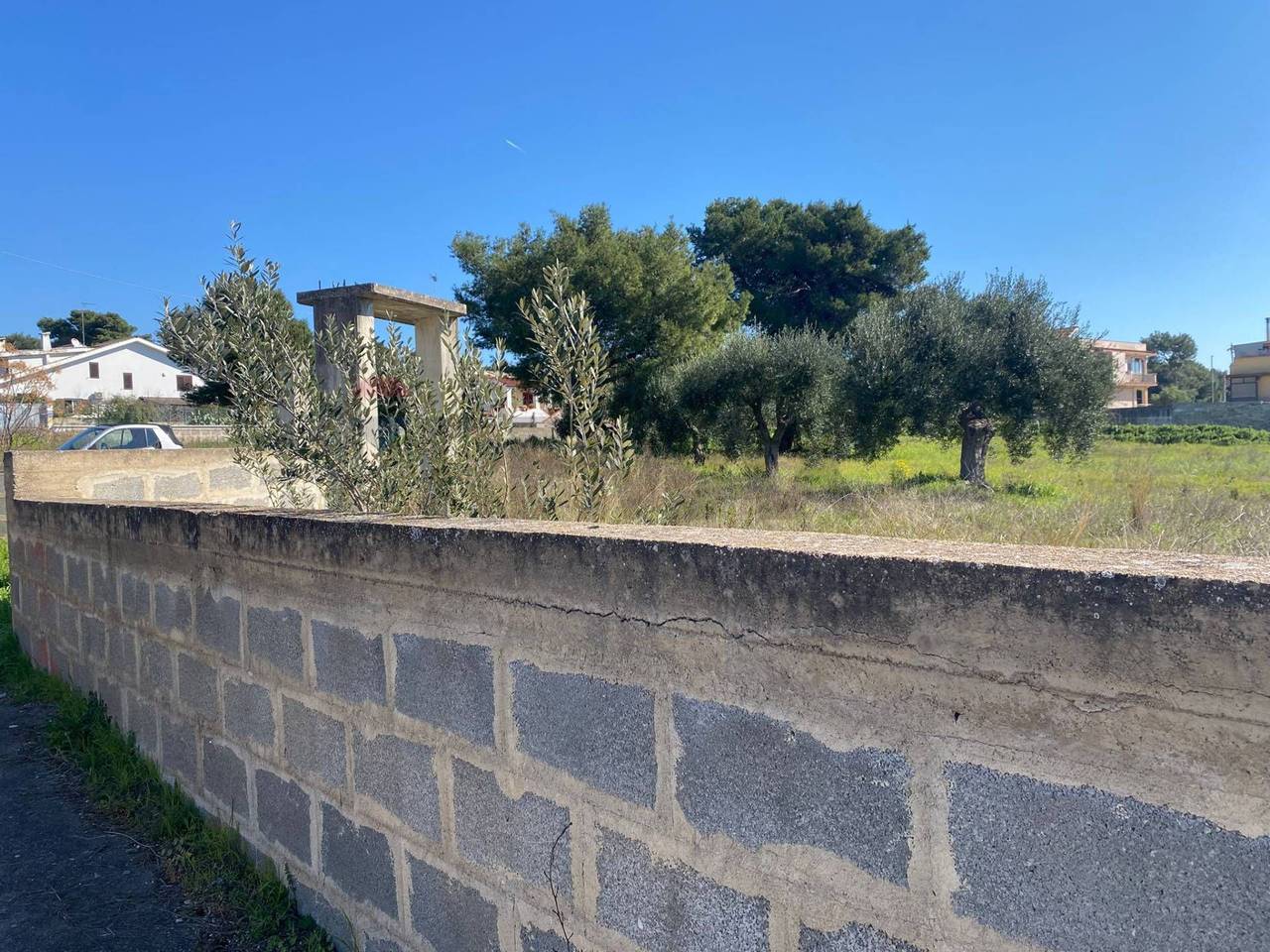 immagine annuncio 1 di 6