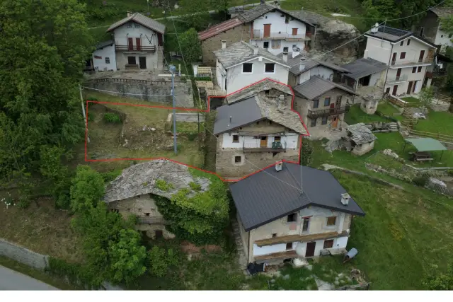 insertion image